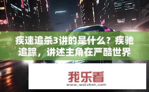 疾速追杀3讲的是什么？疾驰追踪，讲述主角在严酷世界中的生死追逐与智谋较量的故事吗？