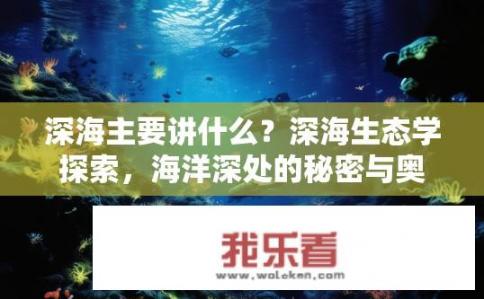 深海主要讲什么？深海生态学探索，海洋深处的秘密与奥秘