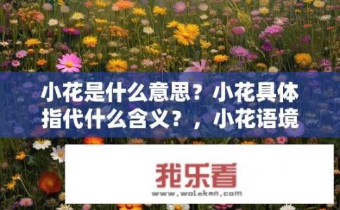 小花是什么意思？小花具体指代什么含义？，小花语境下的深层寓意是什么？，为什么小花在某些特定情境下象征着坚韧、希望或爱的主题？，小花与性别、年龄、社会地位等元素有何关联？，小花象征的品质特征及其与个人成长过程中的象征意义是什么？，小花如何在全球化的语境中展现出其文化价值和影响力？，小花的演变和发展历程，与现代社会、艺术与科技等方面有何联系？，在不同语境下，小花的形象及象征意义有何差异？