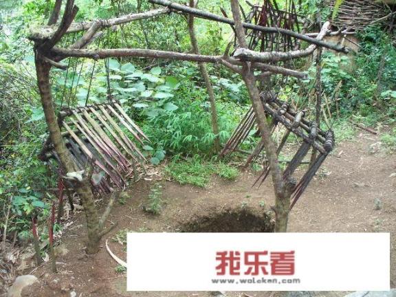 狩猎和打猎有什么区别？