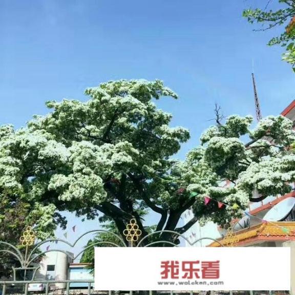 发现很多农村风景都很美，可以分享你们故乡最美的一张照片吗？