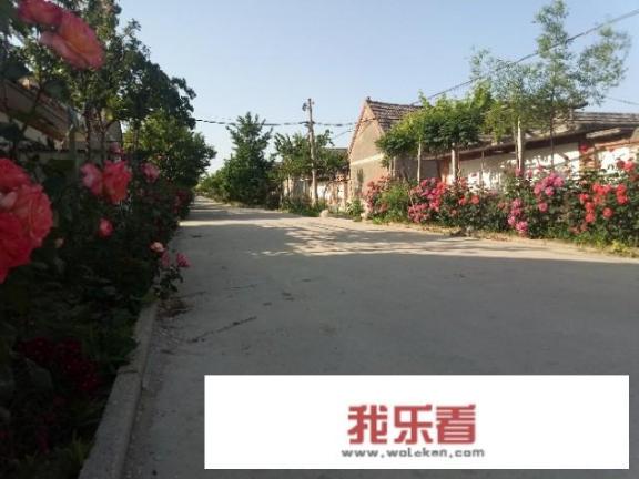 发现很多农村风景都很美，可以分享你们故乡最美的一张照片吗？