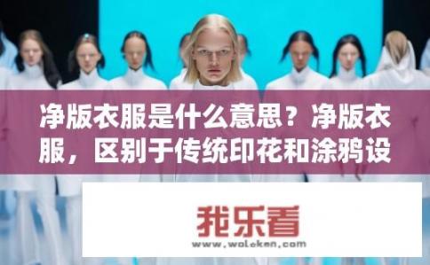 净版衣服是什么意思？净版衣服，区别于传统印花和涂鸦设计的新时尚概念及其内涵含义揭示