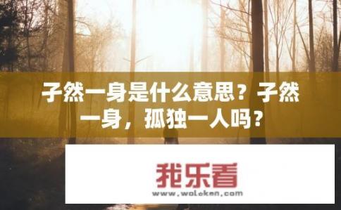 孑然一身是什么意思？孑然一身，孤独一人吗？
