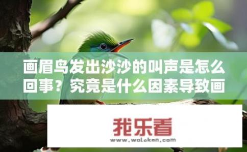 画眉鸟发出沙沙的叫声是怎么回事？究竟是什么因素导致画眉鸟发出沙沙的叫声呢？