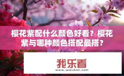樱花紫配什么颜色好看？樱花紫与哪种颜色搭配最搭？
