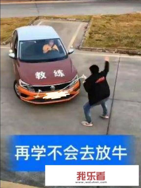 驾驶证审验是指什么？