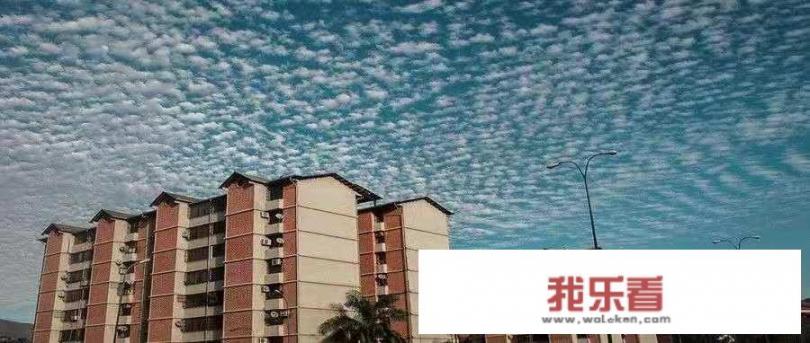 华为公司近况如何？