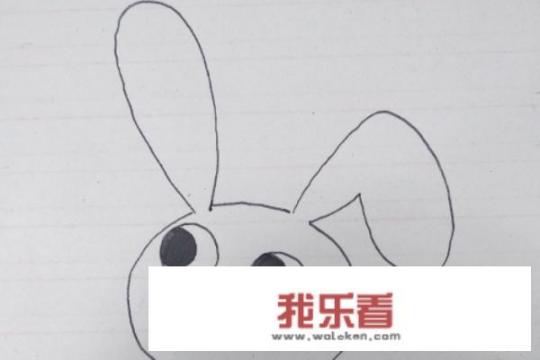 所有卡通兔子的名字？
