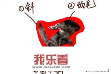 怎样写福字简单又好看？