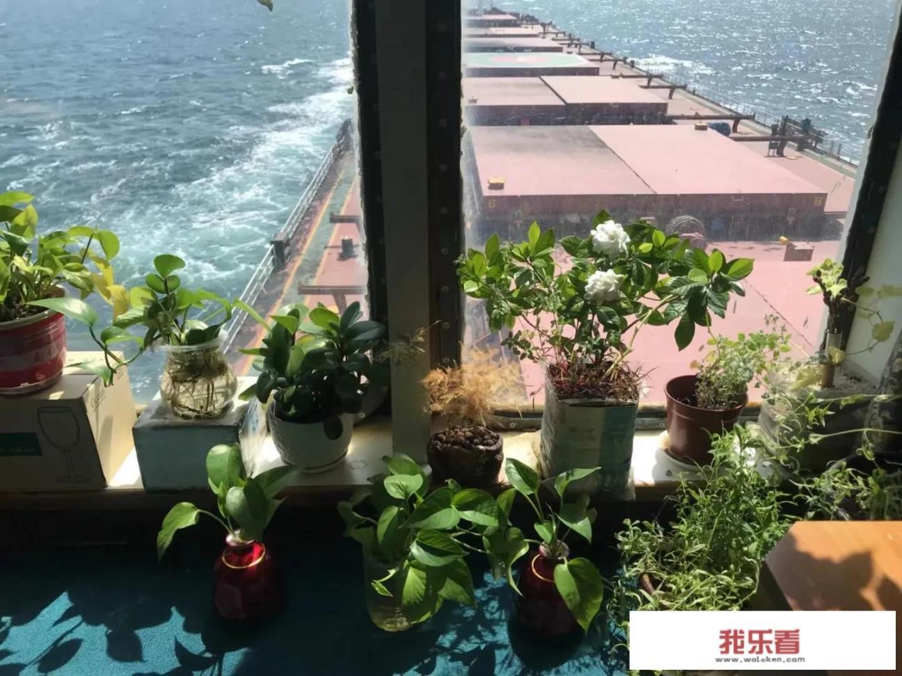 如何考船舶驾驶证如何考船舶驾驶证？