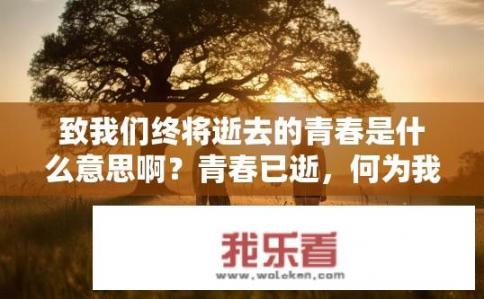 致我们终将逝去的青春是什么意思啊？青春已逝，何为我们的归宿?