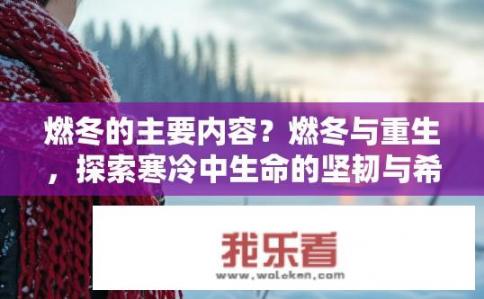燃冬的主要内容？燃冬与重生，探索寒冷中生命的坚韧与希望