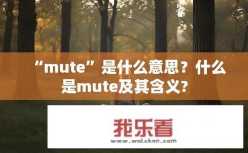 “mute”是什么意思？什么是mute及其含义?