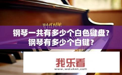 钢琴一共有多少个白色键盘？钢琴有多少个白键？