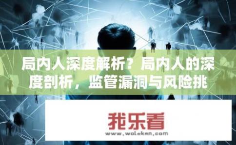 局内人深度解析？局内人的深度剖析，监管漏洞与风险挑战探析