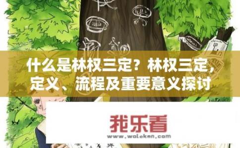 什么是林权三定？林权三定，定义、流程及重要意义探讨