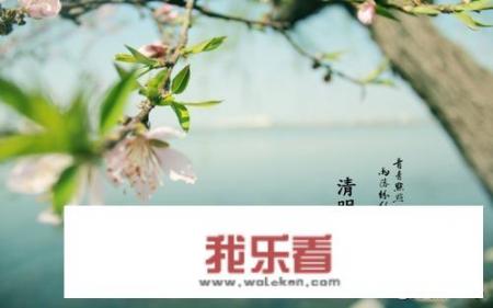 清明节手抄报上写什么东西？