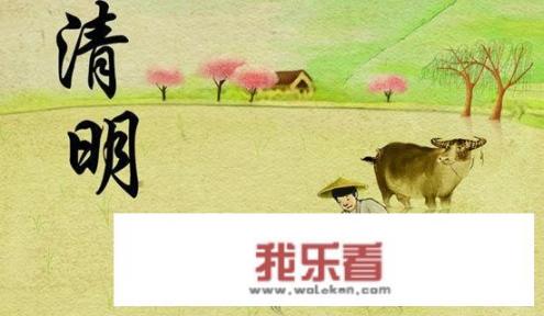 清明节手抄报上写什么东西？
