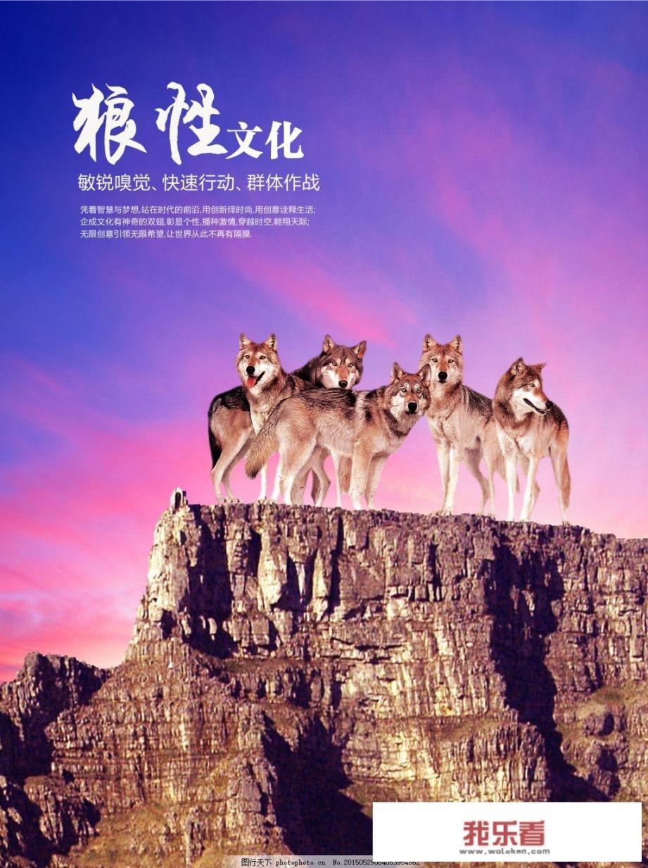 面对禁售和围攻，华为是如何保持定力的？