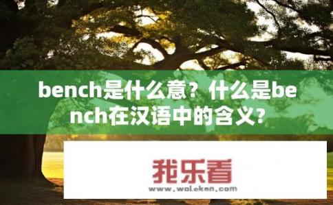 bench是什么意？什么是bench在汉语中的含义?