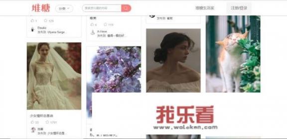 花瓣网里面的图片可以免费商用吗？国内还有那些可以商用的图片网站？