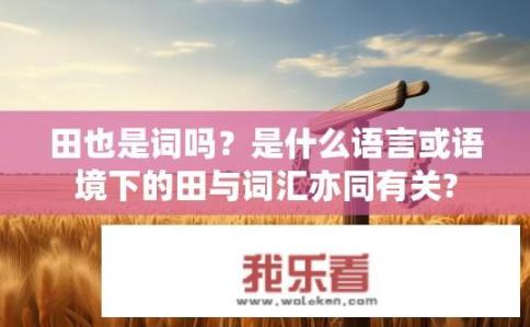 田也是词吗？是什么语言或语境下的田与词汇亦同有关?