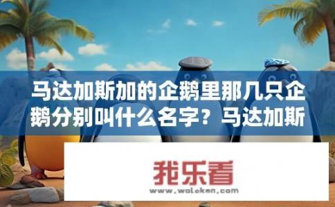 马达加斯加的企鹅里那几只企鹅分别叫什么名字？马达加斯加企鹅家族，各具特色的企鹅名称分享