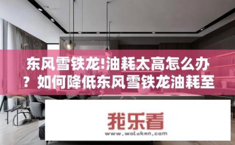 东风雪铁龙!油耗太高怎么办？如何降低东风雪铁龙油耗至合理水平？