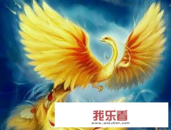 高考你听过最励志的标语是什么？