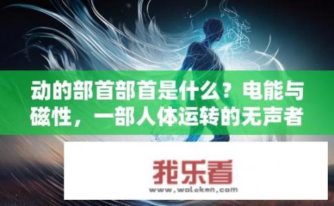 动的部首部首是什么？电能与磁性，一部人体运转的无声者