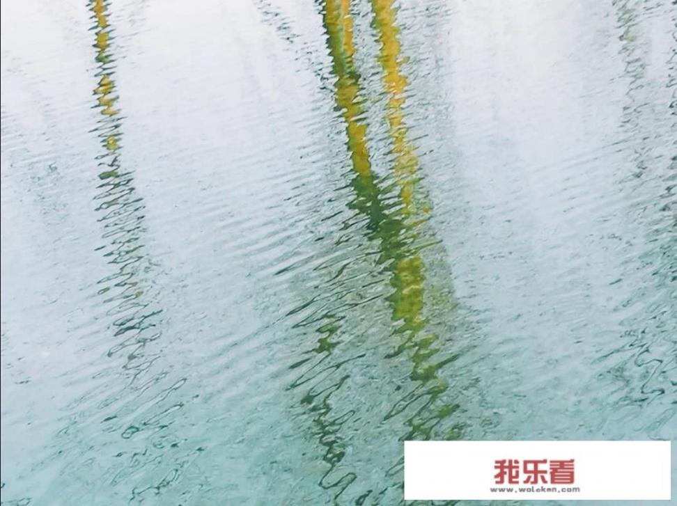 询问和谈话的区别？