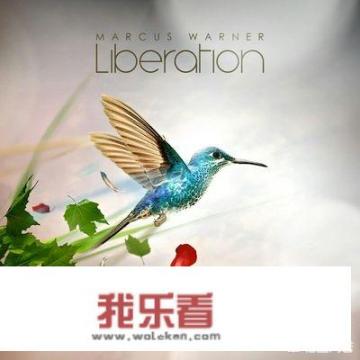 如何获取专辑封面？