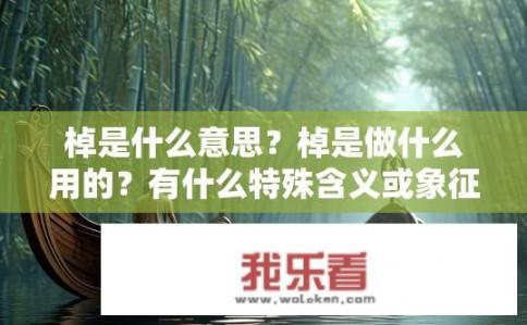 棹是什么意思？棹是做什么用的？有什么特殊含义或象征意义吗？