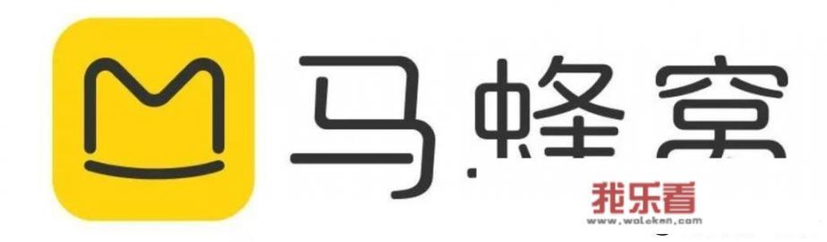有哪些大的旅游网站？