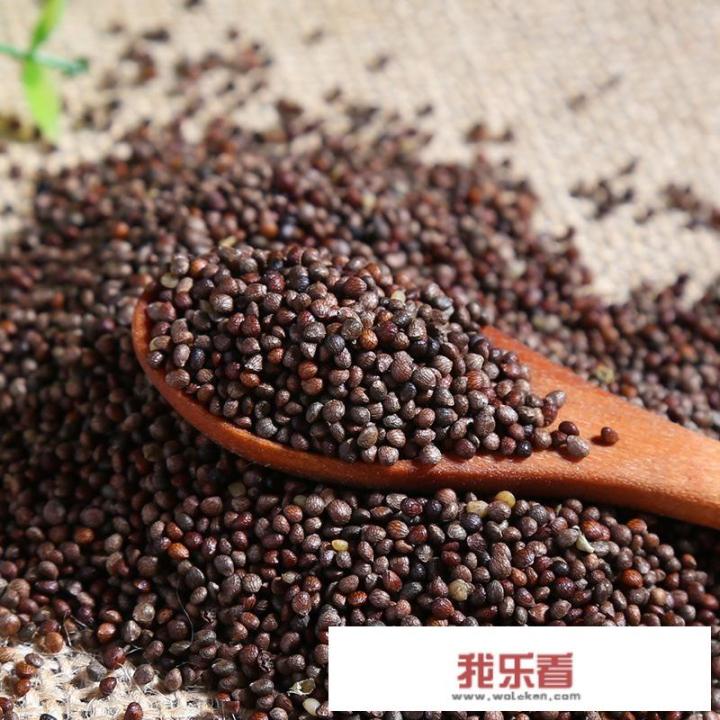 紫苏在农村没人当回事，出口到国外卖的很贵，老外都抢疯了，到底有什么营养价值？