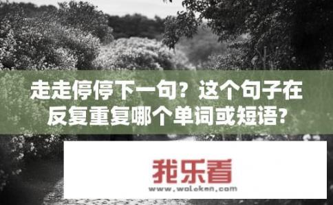 走走停停下一句？这个句子在反复重复哪个单词或短语?