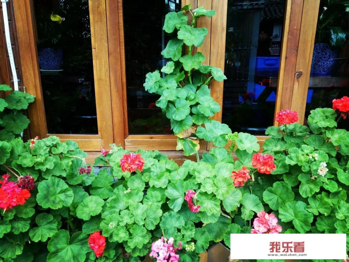 丽江费用多少？