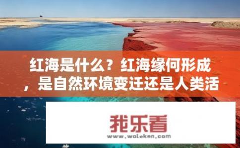 红海是什么？红海缘何形成，是自然环境变迁还是人类活动影响?