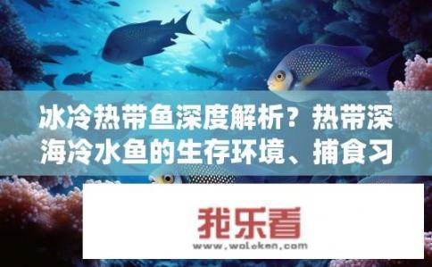 冰冷热带鱼深度解析？热带深海冷水鱼的生存环境、捕食习性及生态系统角色探讨