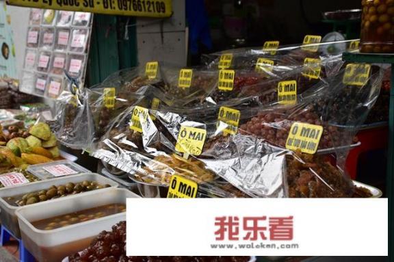 越南自驾游的攻略？