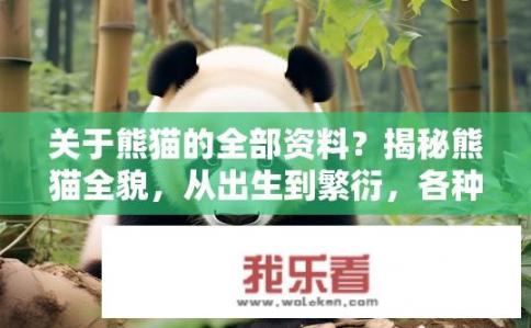 关于熊猫的全部资料？揭秘熊猫全貌，从出生到繁衍，各种趣事与珍稀知识一网打尽