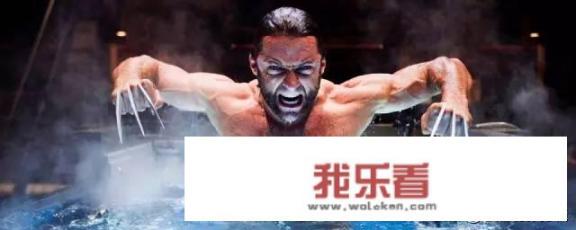 金刚狼是指什么狼？