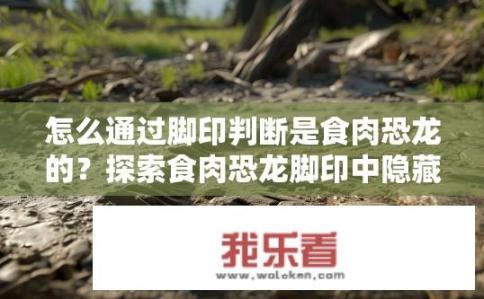 怎么通过脚印判断是食肉恐龙的？探索食肉恐龙脚印中隐藏的DNA信息，验证其生存时代的生物学身份