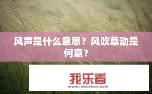 风声是什么意思？风吹草动是何意？