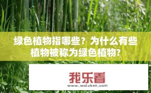 绿色植物指哪些？为什么有些植物被称为绿色植物?