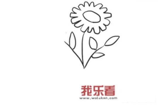 送女朋友花束推荐？