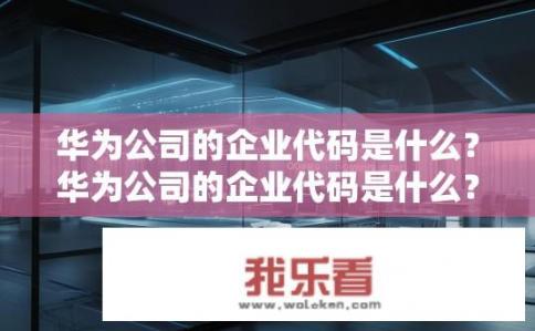 华为公司的企业代码是什么？华为公司的企业代码是什么？