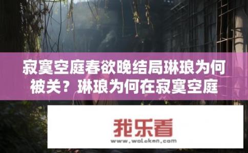 寂寞空庭春欲晚结局琳琅为何被关？琳琅为何在寂寞空庭中被囚禁，结局究竟为何如此惨淡?