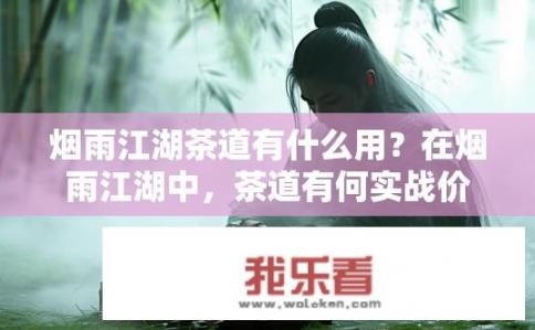 烟雨江湖茶道有什么用？在烟雨江湖中，茶道有何实战价值与应用场景?